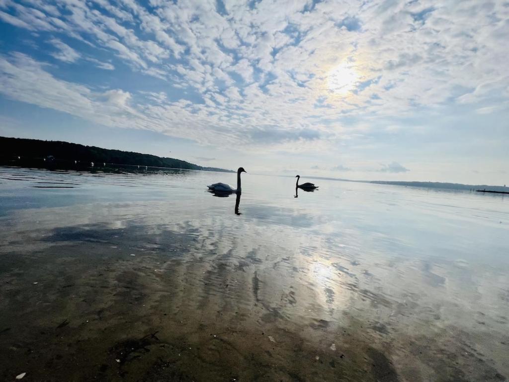 'Kapitaenslounge' Vollsanierte Fewo Mit Blick Auf Die Flensburger Foerde Harrislee Exterior foto